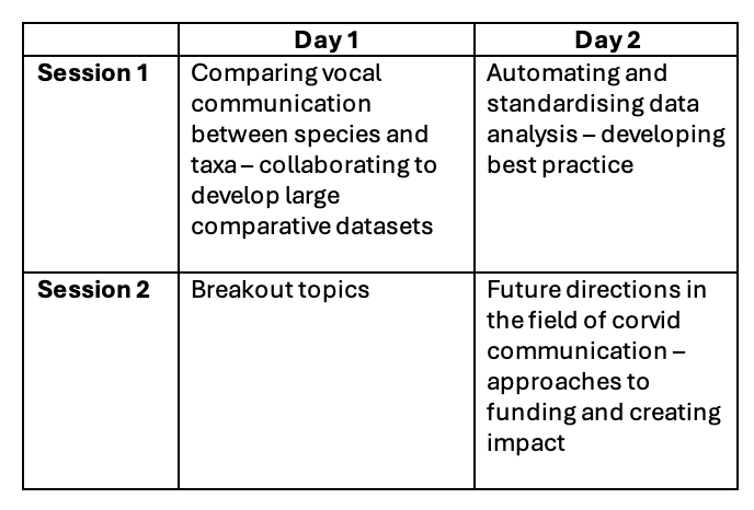 title of morning and afternoon sessions of day 1 and day 2 of workshop